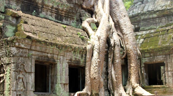 Ta Prohm