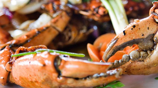 Kampot & Kep
