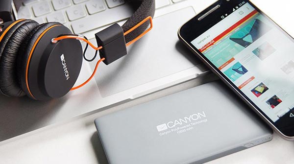 Backup charger